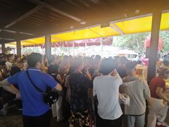 -将军关探险漂流