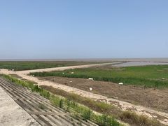 -南汇嘴观海公园
