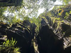 -梭布垭石林景区