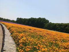 -江苏三台山国家森林公园