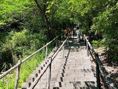 -茅兰沟国家森林公园