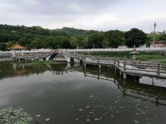 -红山村