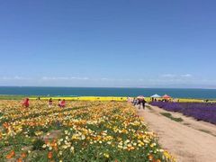 -青海湖国家重点风景名胜区售票处
