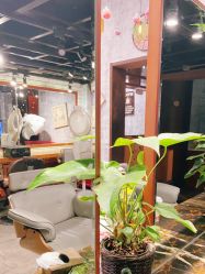 -T.1 hair salon烫染接发