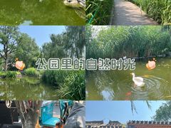 -三里河公园