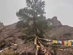 -天山神秘大峡谷