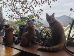 -马灯部落·西湖边的创意山景餐厅(虎跑动物园店)