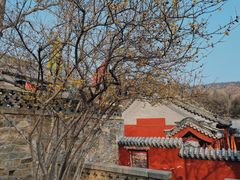 -泰山风景名胜区-普照寺