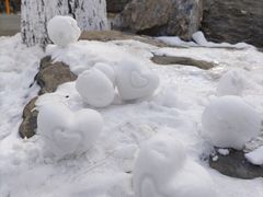 -黄村公园