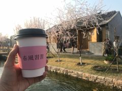 -春风习习