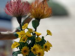 -柴悦·翠釜翘脚牛肉炒菜(天府新经济产业园店)