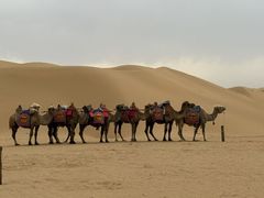 -银肯塔拉沙漠生态旅游景区