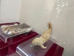 -中国湖笔博物馆(莲花庄路)