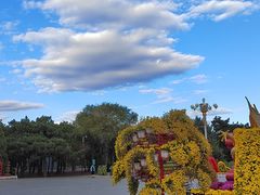 -北陵公园