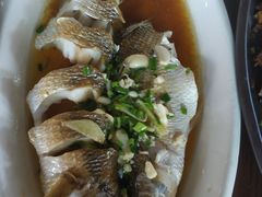 -盐官日光域房车营地·有盐餐厅