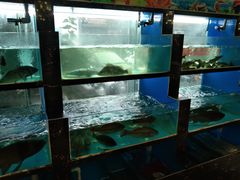 -简朴寨(武东店)