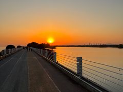 -贡湖湾湿地公园