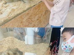 -怪兽屋·羊驼·猫咖·狗咖(俊华广场店)