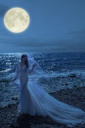 -乐派诗婚纱摄影