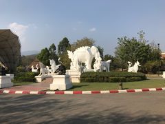 -清迈夜间动物园