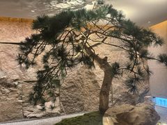 -新荣记(建国门外大街店)