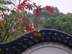 -汇龙潭