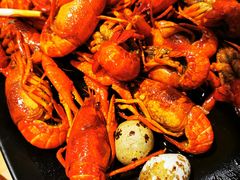 -不炭白烧烤(成都首店)