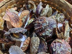 -蚝堡海鲜·威海菜·海肠捞饭·烧烤·亚洲吃蚝公司(幸福门店)