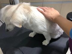 -宠颐生动物医院·小陆分院