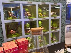 -芸山季·云南山珍菌火锅(南翔印象城MEGA店)