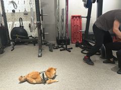 -mYSTEPS健身运动馆(古北店)