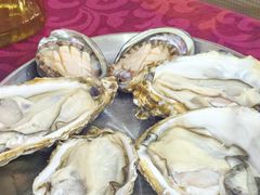 -冯姐生蚝(长隆横琴店)