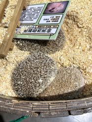 -Zoolung Zoolung动物主题公园(海信广场店)