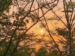 -杭州半山国家森林公园