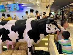 -红星前进面包牛奶公司(君太店)