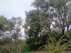 -东升文体公园