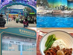 -海合安武汉极地海洋公园