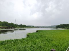 -御道口草原森林风景区