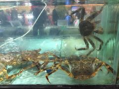 水产区-渔民新村(番禺总店)
