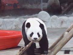 -栾川竹海野生动物园