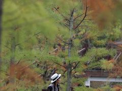 -同里国家湿地公园