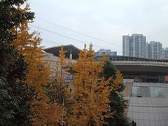 -重庆工商大学(南岸校区)