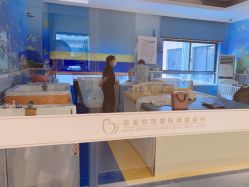 -蓓爱娇琪月子会所(虹口店)