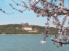 -颐和园