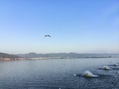 -海埂大坝