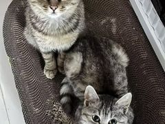 -德得轩自助烤肉(宏泰广场店)