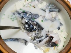 -全乐鱼馆·淳牌有机鱼直营店