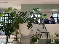 大堂-一尺花园(安和花园店)