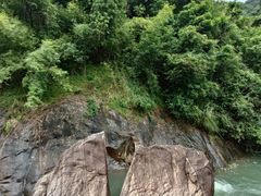 -广州白江湖森林公园