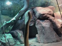 -福州罗源湾海洋世界旅游区